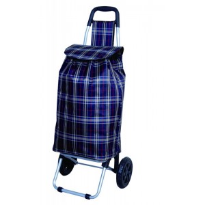 Shopping trolley with bag